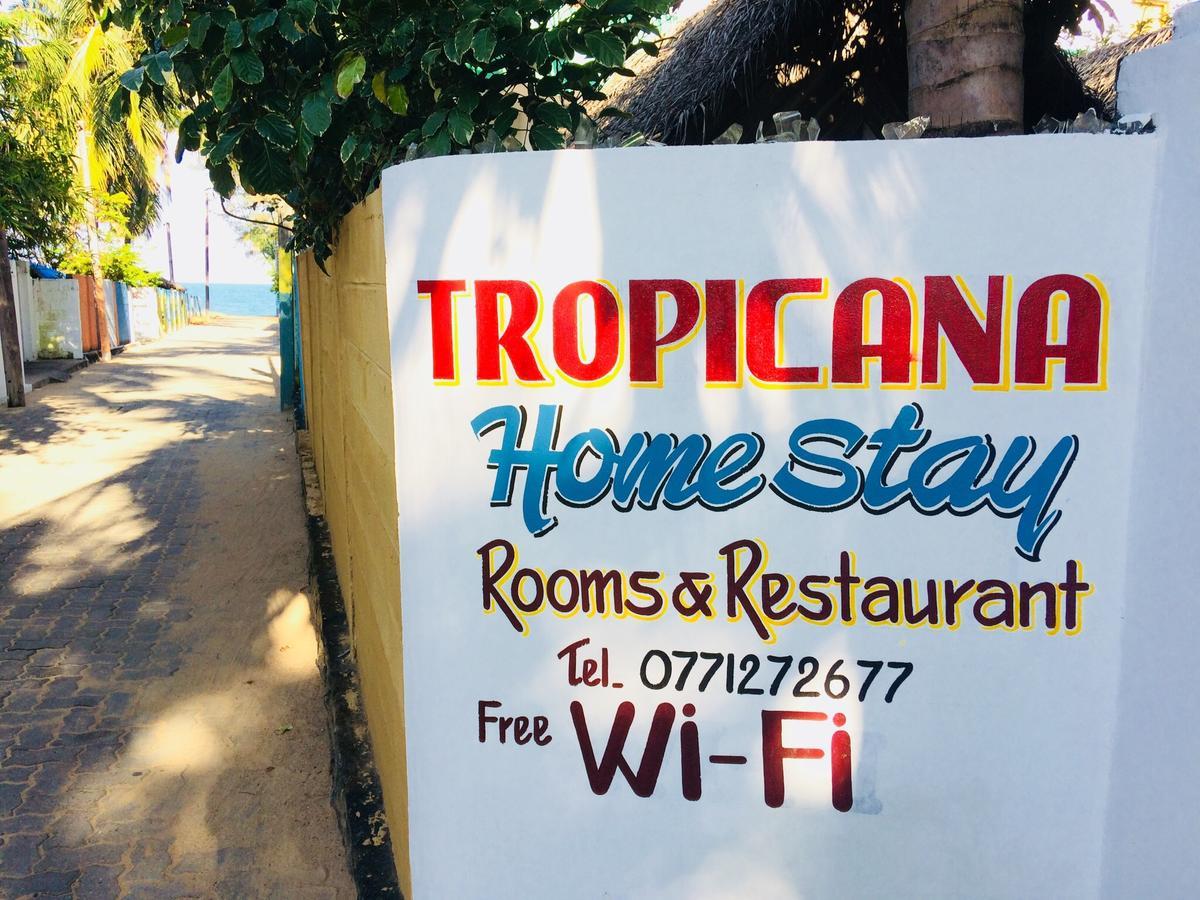 Tropicana Home Stay Arugam Bay Luaran gambar
