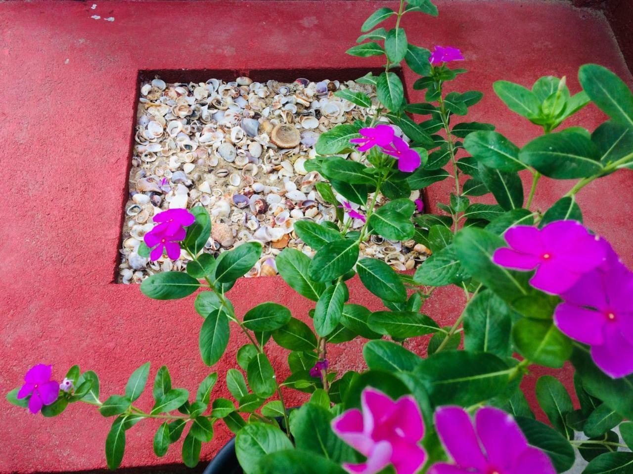 Tropicana Home Stay Arugam Bay Luaran gambar