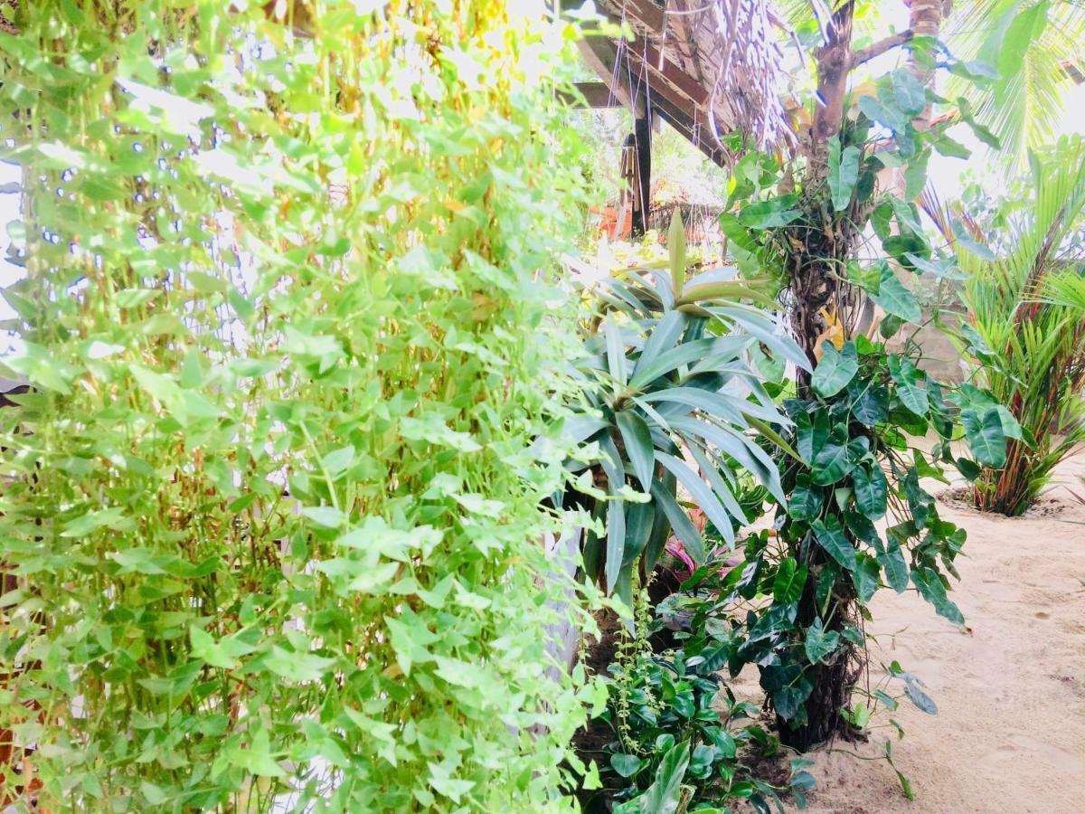 Tropicana Home Stay Arugam Bay Luaran gambar