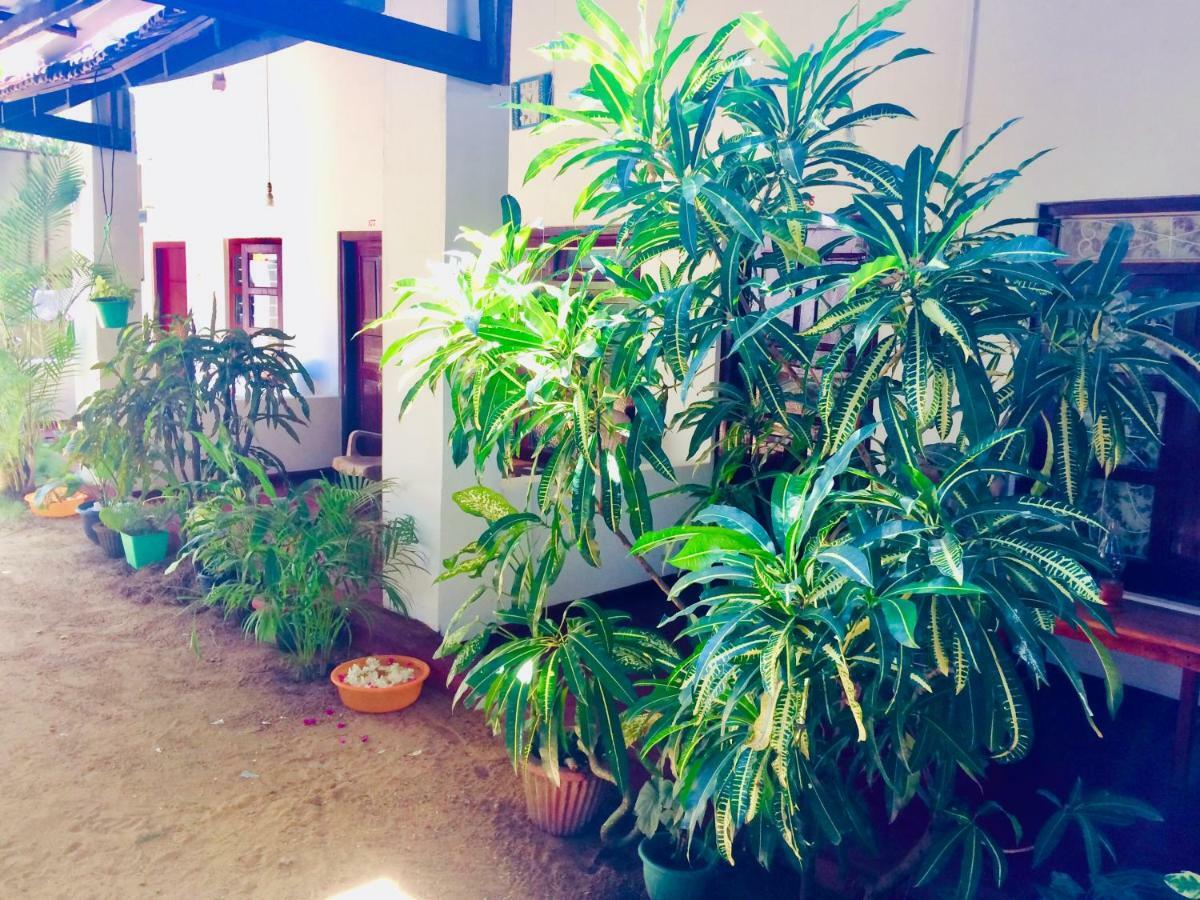 Tropicana Home Stay Arugam Bay Luaran gambar
